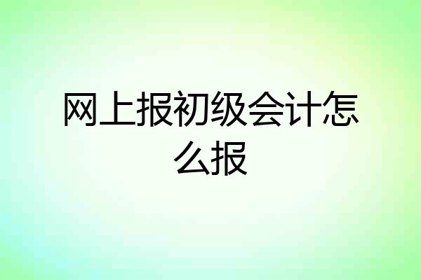 网上报初级会计怎么报
