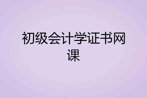 初级会计学证书网课