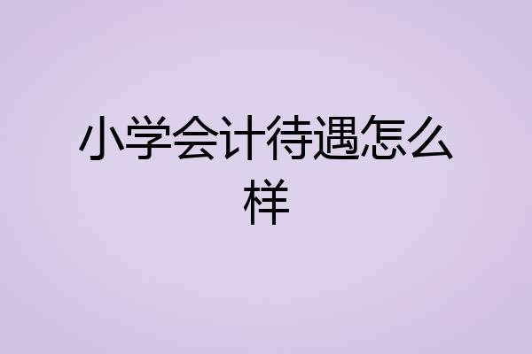 小学会计待遇怎么样