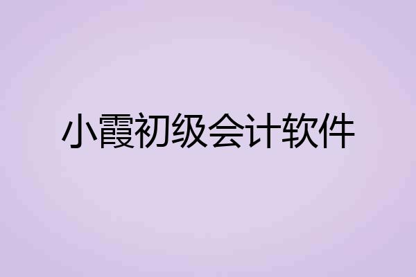 小霞初级会计软件