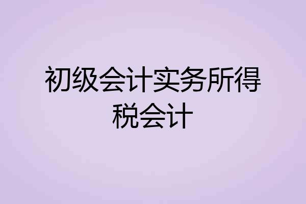 初级会计实务所得税会计