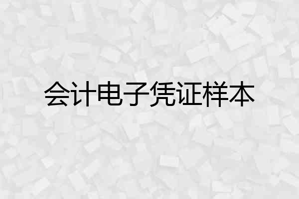 会计电子凭证样本