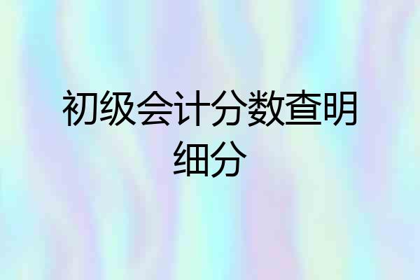 初级会计分数查明细分