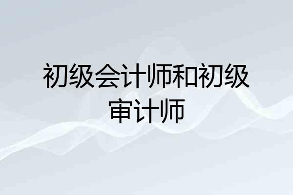 初级会计师和初级审计师