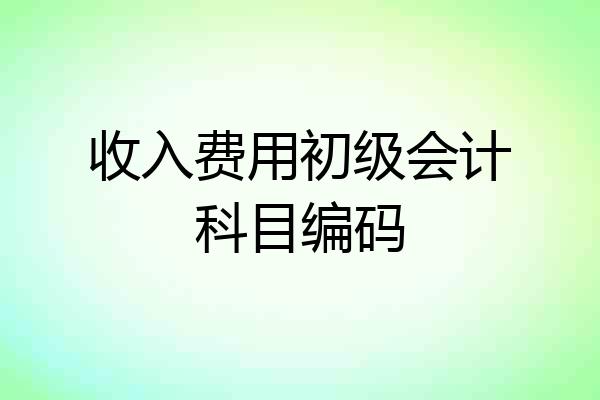 收入费用初级会计科目编码