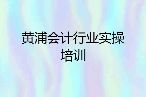 黄浦会计行业实操培训