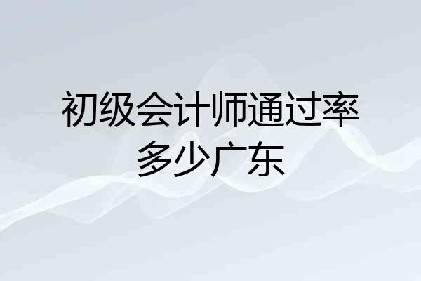 初级会计师通过率多少广东