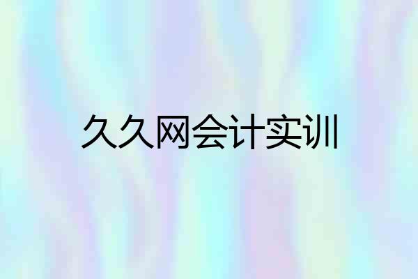 久久网会计实训