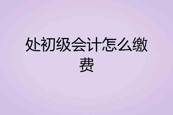 处初级会计怎么缴费