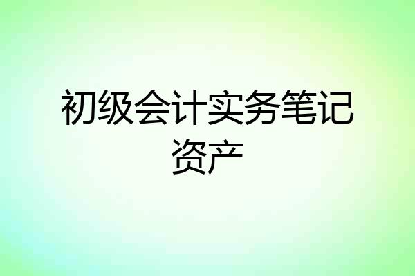 初级会计实务笔记资产