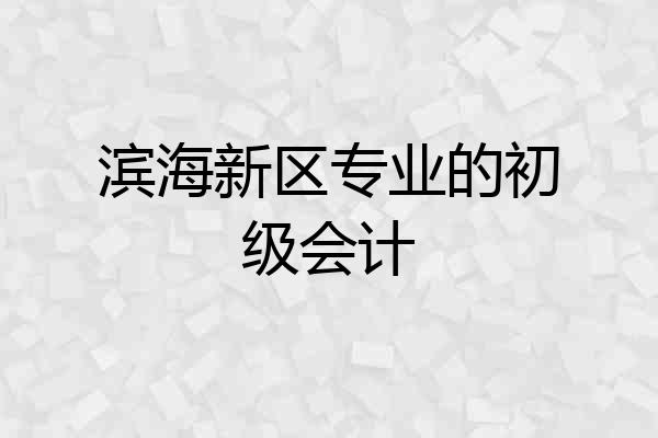 滨海新区专业的初级会计