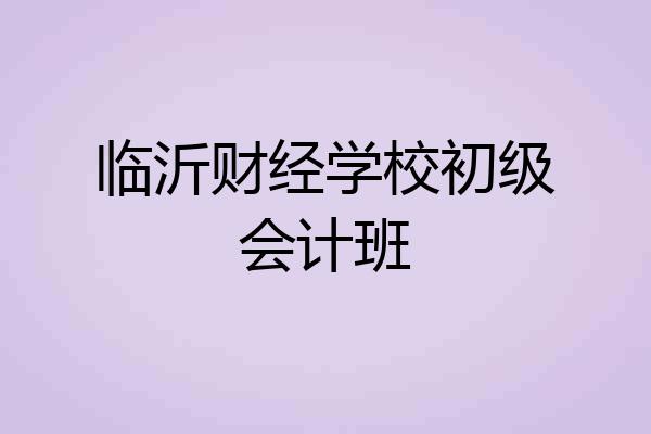 临沂财经学校初级会计班