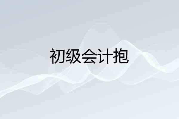 初级会计抱