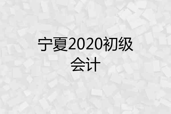 宁夏2020初级会计
