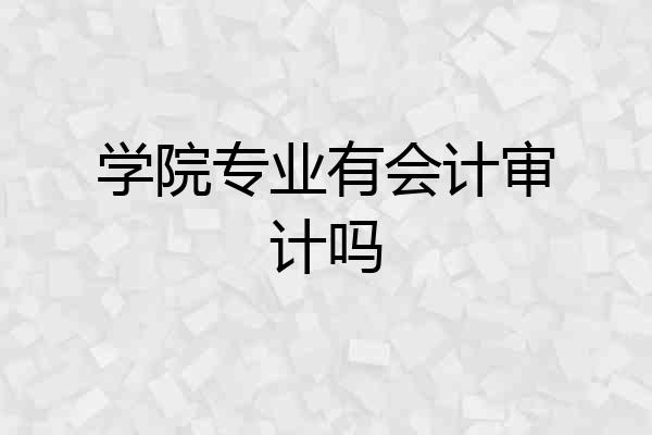学院专业有会计审计吗