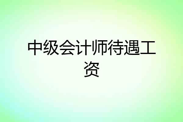 中级会计师待遇工资