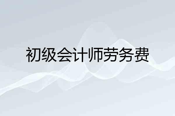 初级会计师劳务费