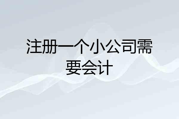 注册一个小公司需要会计