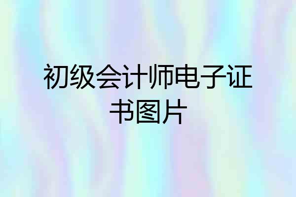 初级会计师电子证书图片