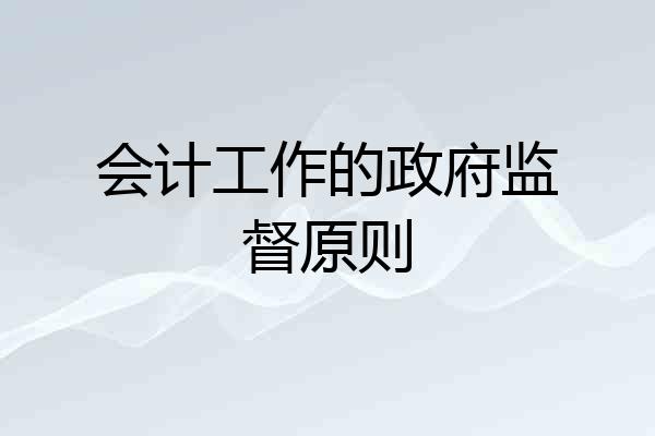 会计工作的政府监督原则