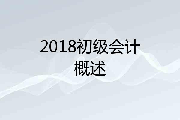 2018初级会计概述