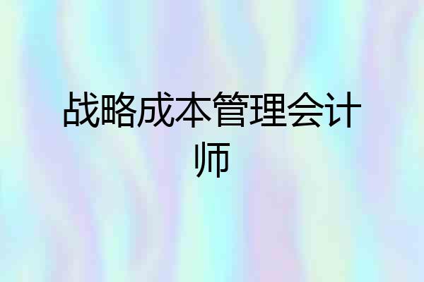 战略成本管理会计师