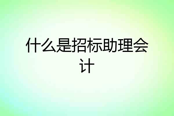 什么是招标助理会计