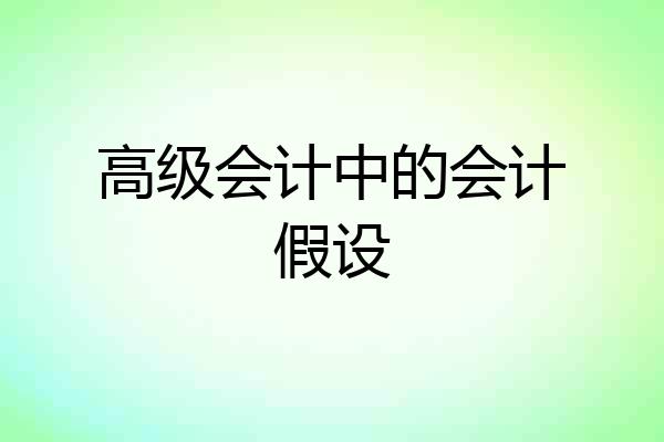 高级会计中的会计假设