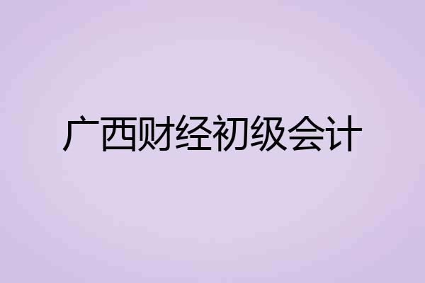 广西财经初级会计