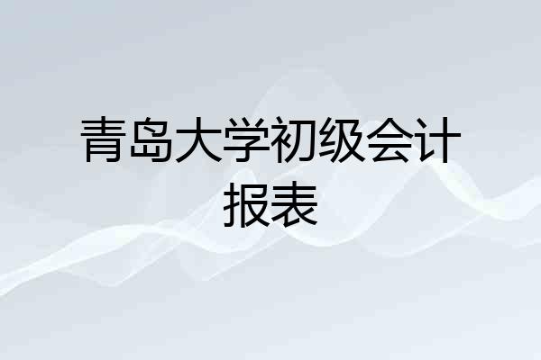 青岛大学初级会计报表