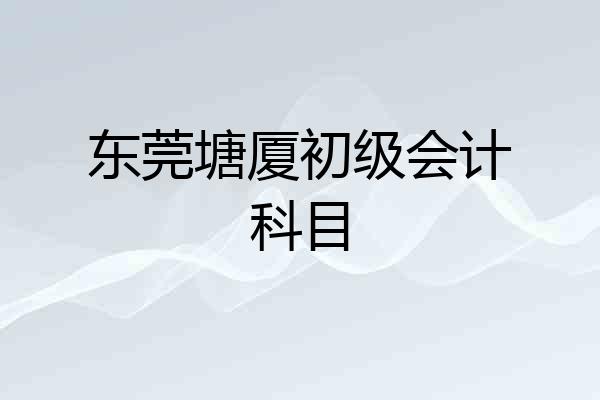 东莞塘厦初级会计科目