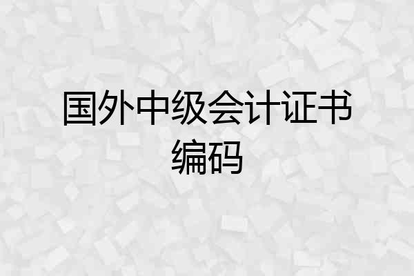 国外中级会计证书编码