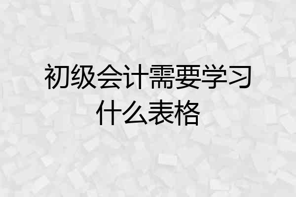 初级会计需要学习什么表格