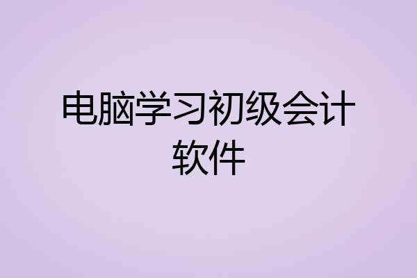电脑学习初级会计软件