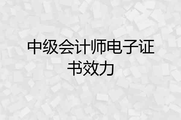 中级会计师电子证书效力