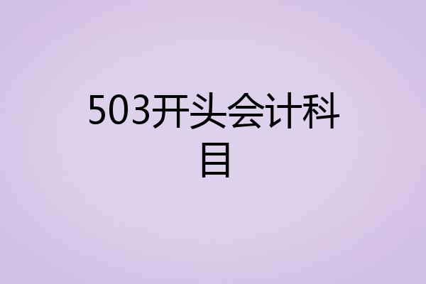 503开头会计科目