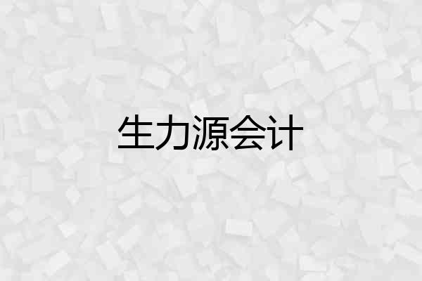 生力源会计