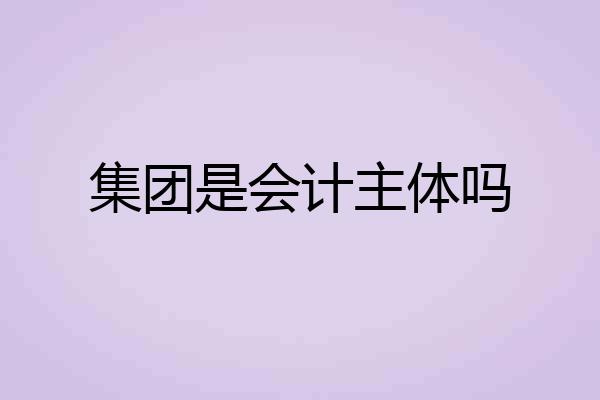 集团是会计主体吗