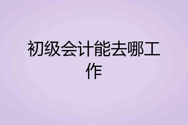 初级会计能去哪工作