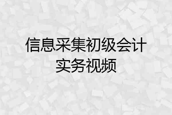 信息采集初级会计实务视频