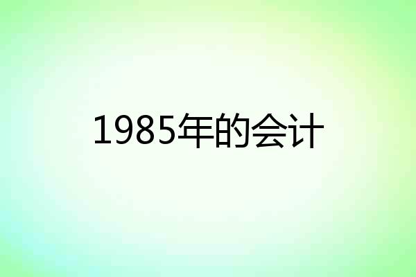 1985年的会计