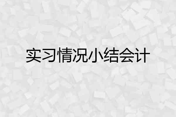 实习情况小结会计