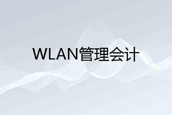 WLAN管理会计
