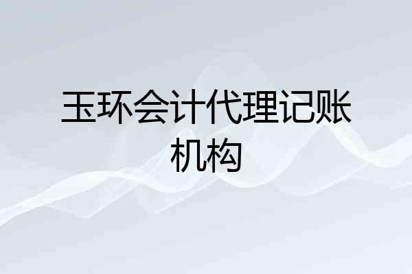 玉环会计代理记账机构