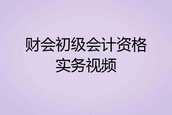 财会初级会计资格实务视频