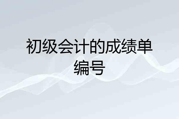 初级会计的成绩单编号