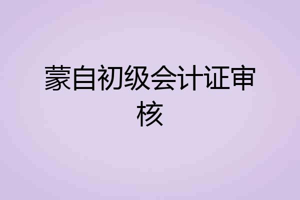 蒙自初级会计证审核