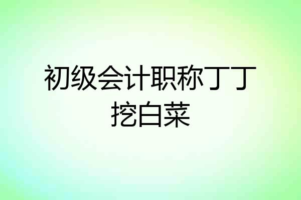 初级会计职称丁丁挖白菜