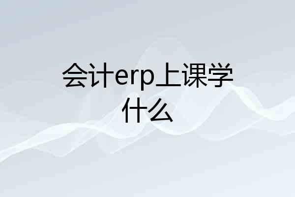 会计erp上课学什么