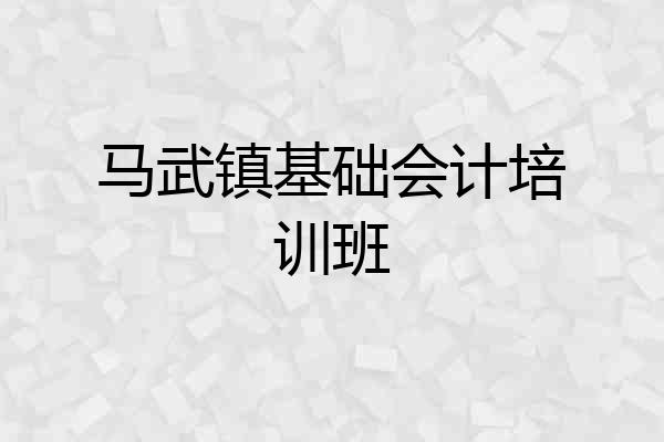 马武镇基础会计培训班